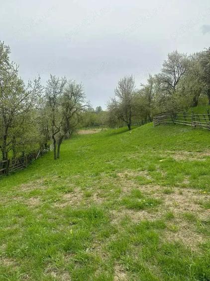 Teren de 3000 mp, în Trăisteni