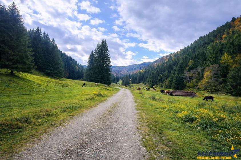 Teren de 4591 mp, în Zărnești