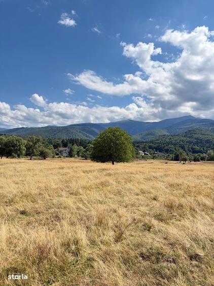 TEREN INTRAVILAN 17.781 MP SAMBATA DE SUS Vedere spre Muntii Fagaras - 4