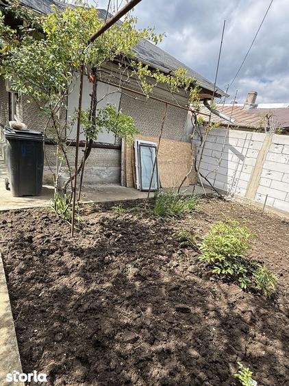 Casa singura in sectorul 3, 3 camere, curte generoasa - 4