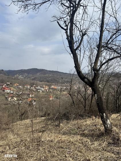 Teren de 4830 mp, în Godeni