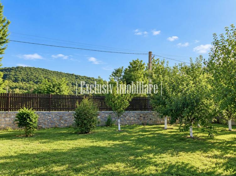 Casă cu 4 camere cu Teren 3000 Mp în Adamclisi