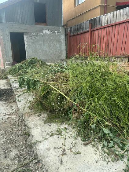 Casă cu 5 camere cu Teren 325 Mp în Central