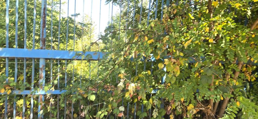 Teren Construcții intravilan de 24460 mp, în Industrială
