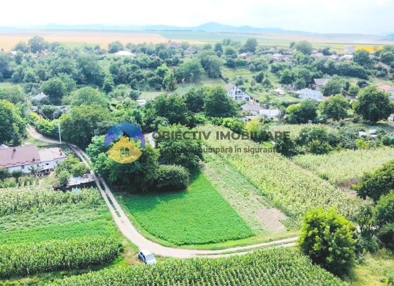 Teren intravilan de 4133 mp, în Boțești