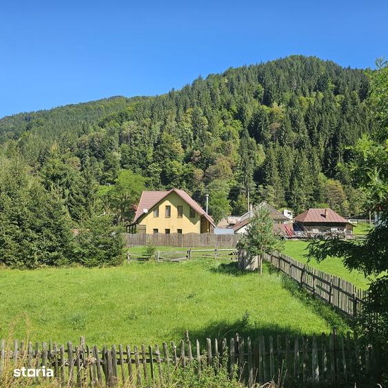 Teren in Satic, intravilan 852 mp - vedere spre Piatra Craiului - 3
