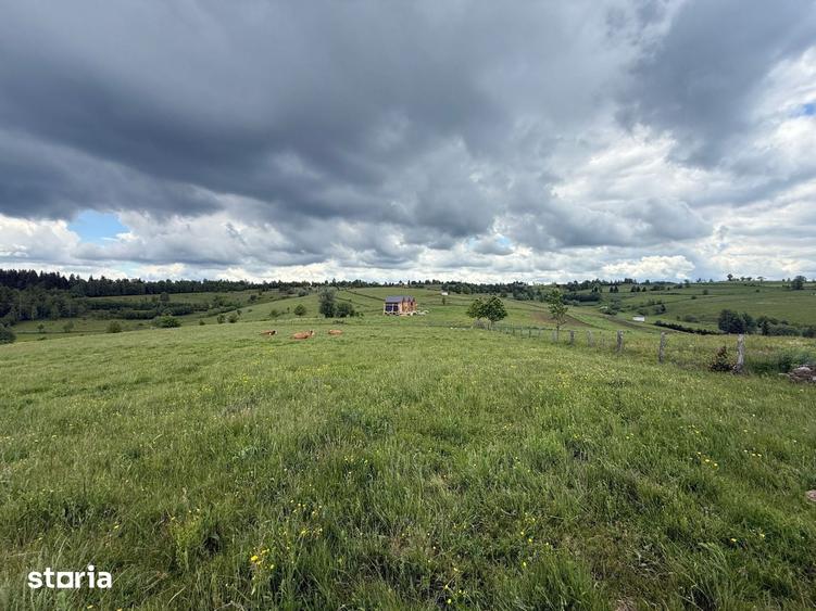 Teren de 13600 mp, în Mărișel