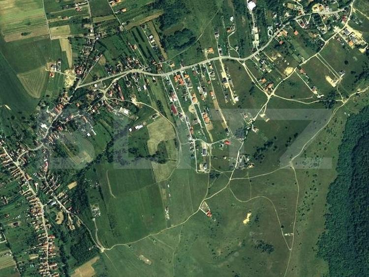Teren Construcții intravilan de 6000 mp, în Sălicea