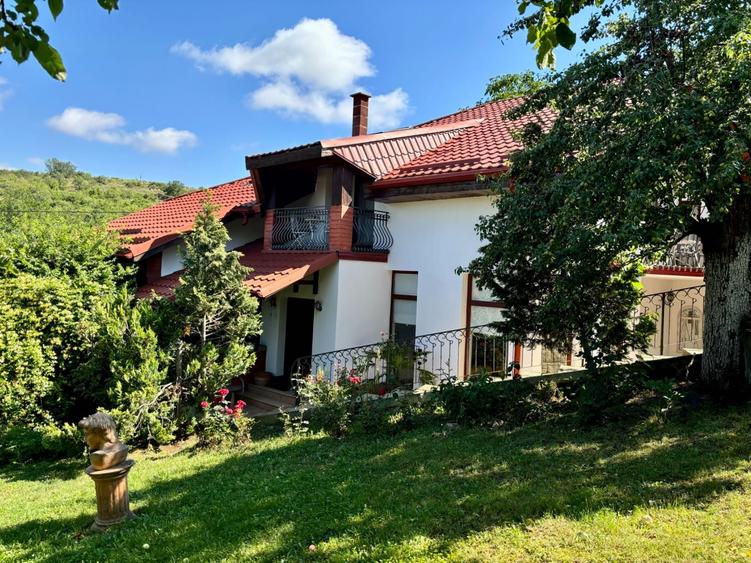 Teren de 5000 mp, în Ghioroc