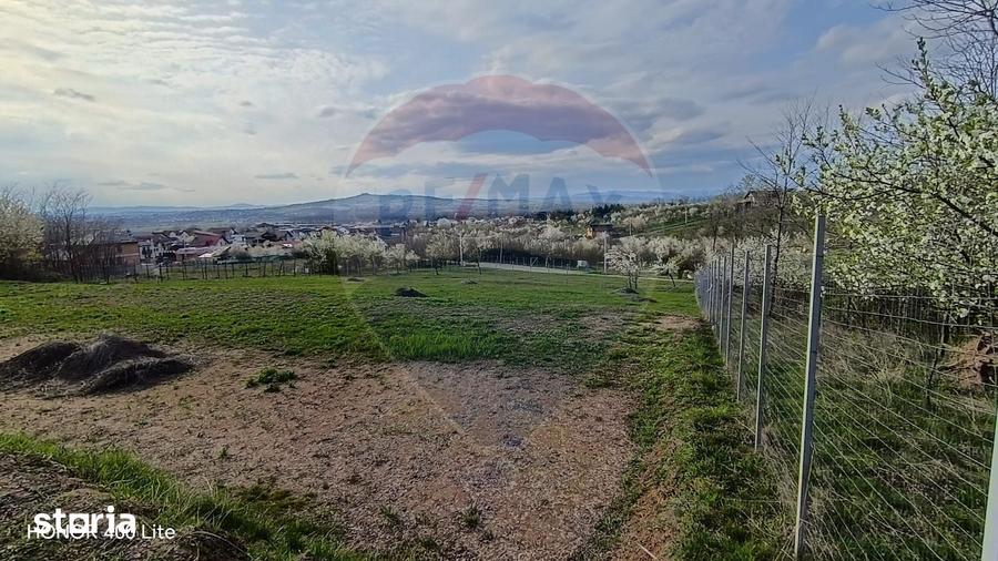 Teren de 1431 mp, în Păulești
