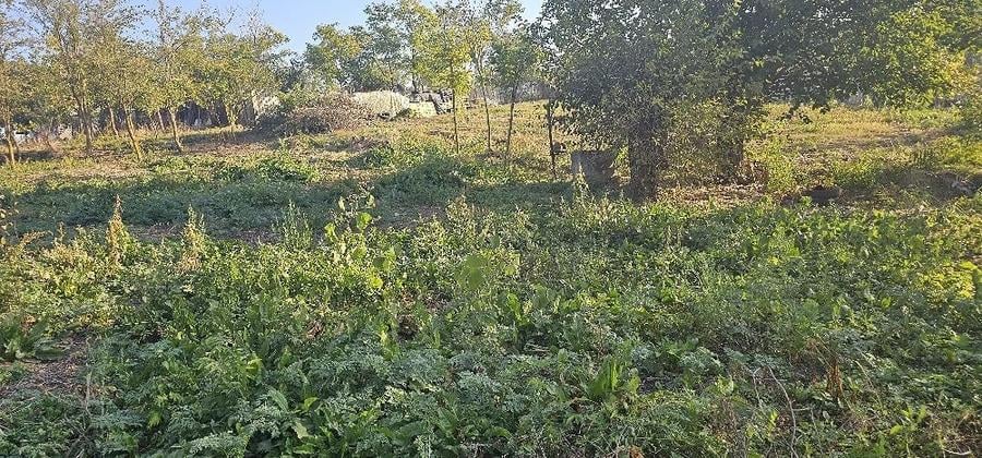 Teren de 840 mp, în Comoara