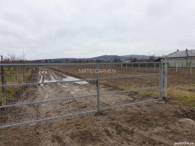 Teren intravilan intabulat LIPANESTI 8071 mp (dist 12 km fata de Ploiesti)