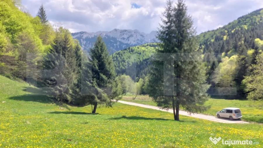 Teren în Central