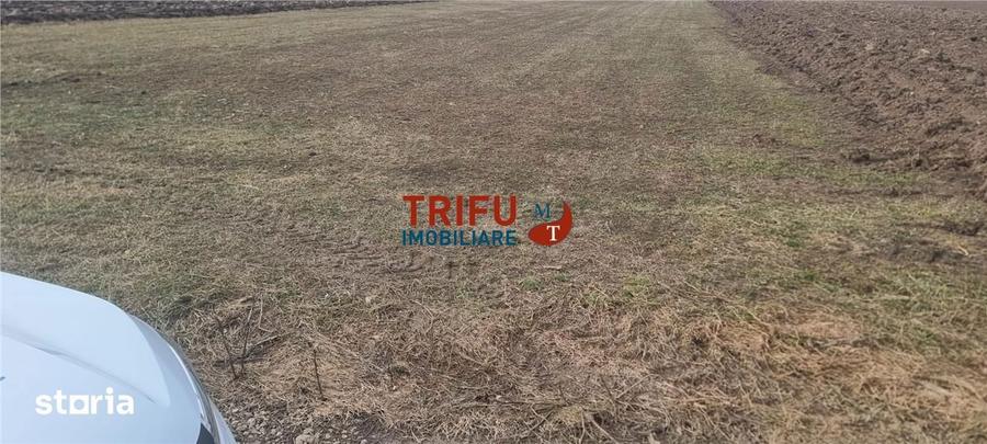 Teren de 1440 mp, în Ighiu