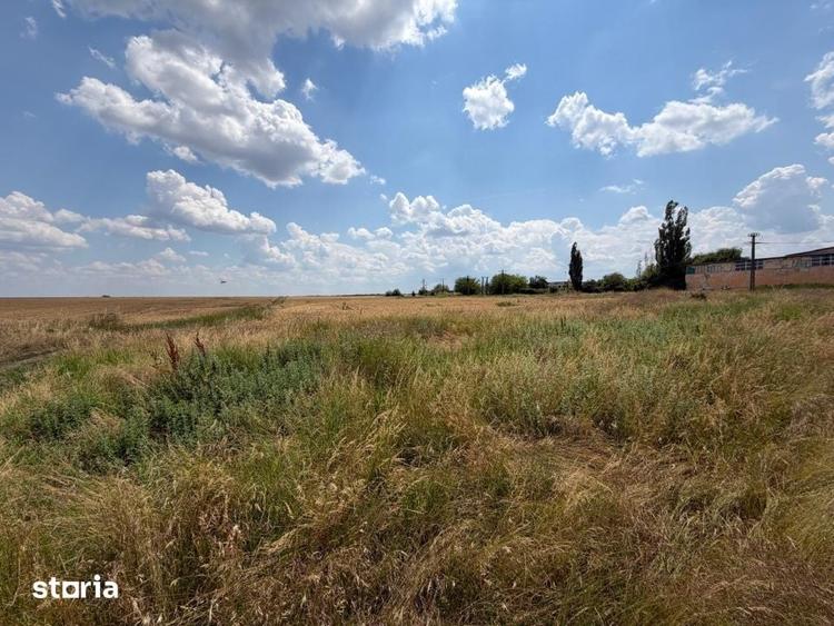 Teren de 9976 mp, în Bucovăț