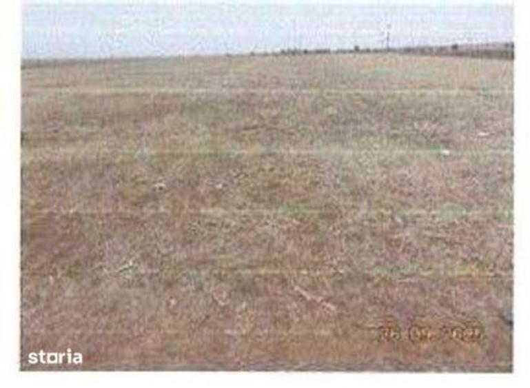 Teren de 5000 mp, în Verguleasa