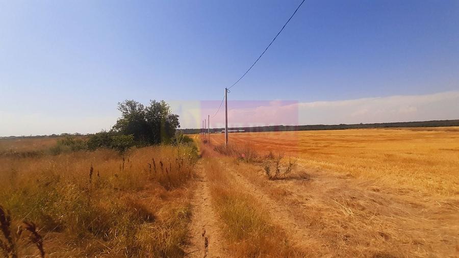 Teren Construcții intravilan de 2000 mp, în Brănești