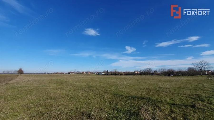 Teren de 665 mp, în Pădureni (Jebel)