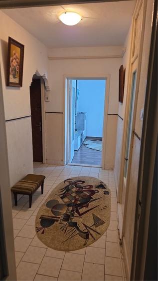 Apartament cu 2 camere decomandat în Luminiș