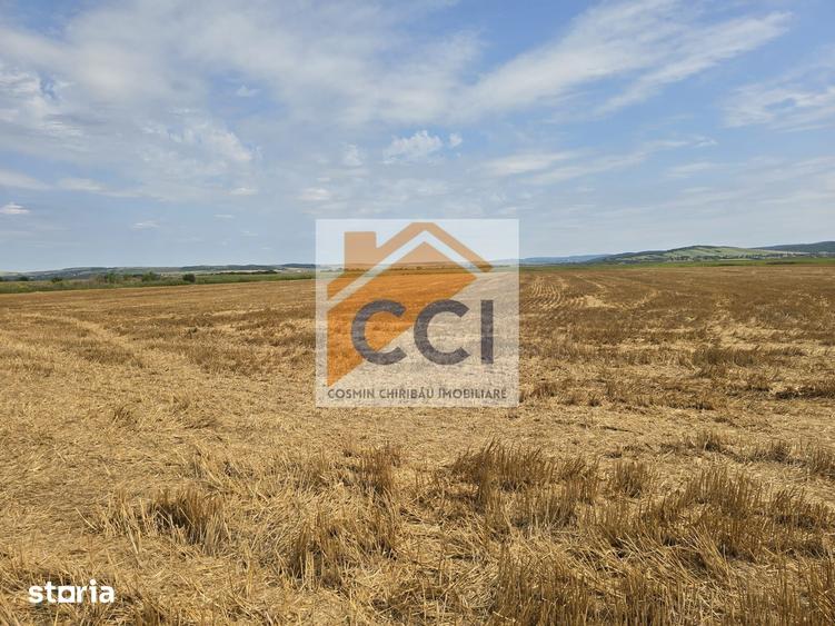 Teren de 50000 mp, în Letea Veche