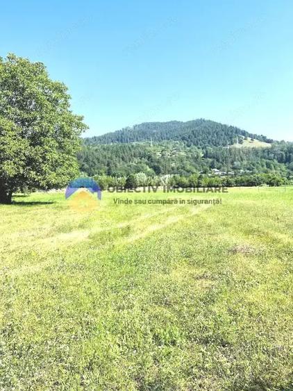 Teren de 3600 mp, în Preluca