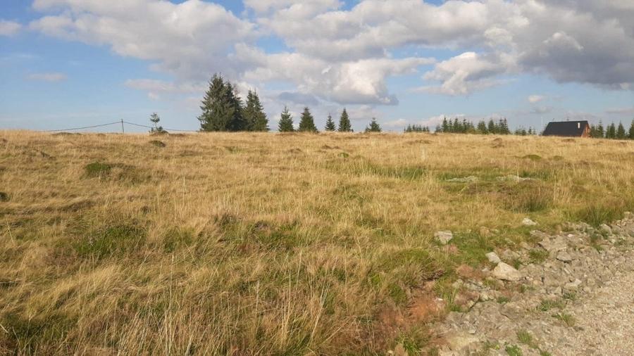 Teren Construcții intravilan de 1000 mp, în Beliș