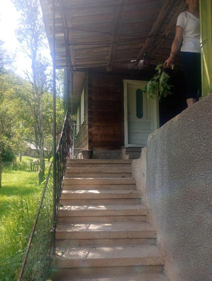 Vand casa comuna Sohodol Alba - 7