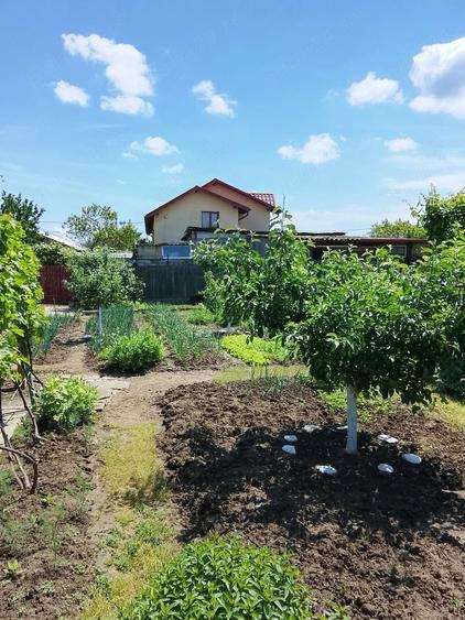 Casă cu Teren 583 Mp în Central