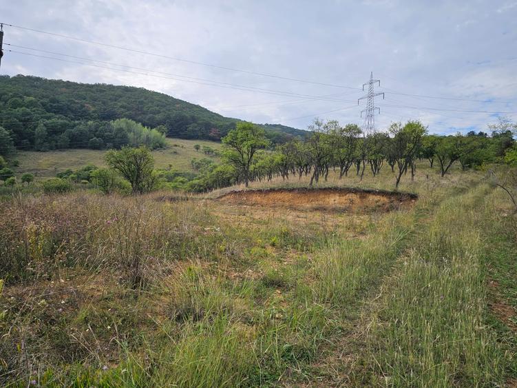Teren Construcții intravilan de 400 mp, în Călugareni