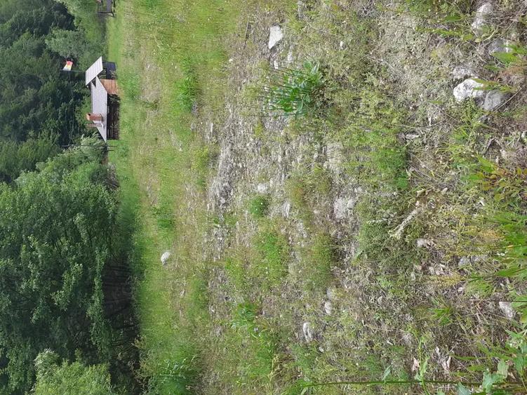 Teren intravilan la munte, Cerna Sat 7 izvoare - 2