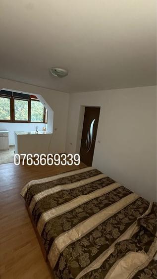 Apartament cu 2 camere semidecomandat în Bucșinescu