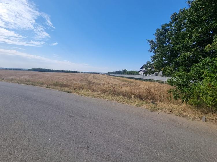 Teren agricol extravilan de 6200 mp, în Gruiu