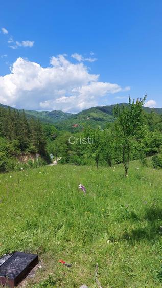 Teren 4000 mp cu utilitati ideal cabane / investitie Muntii Buzaului (Lopatari)