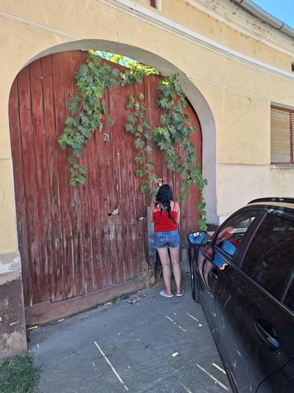 Casă cu 3 camere în Vaidei