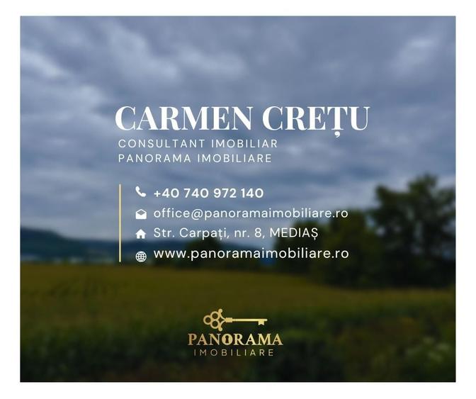 Teren Construcții intravilan de 8000 mp, în Nord-Vest