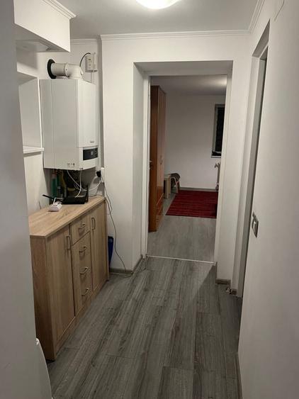 Apartament cu 2 camere semidecomandat în Dosu Bricii