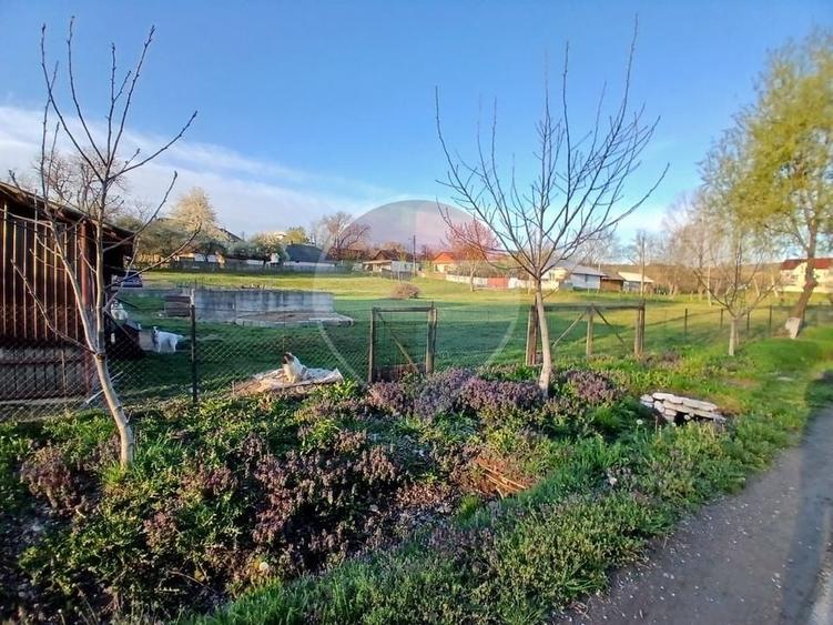 Teren Construcții intravilan de 2809 mp, în Siliștea