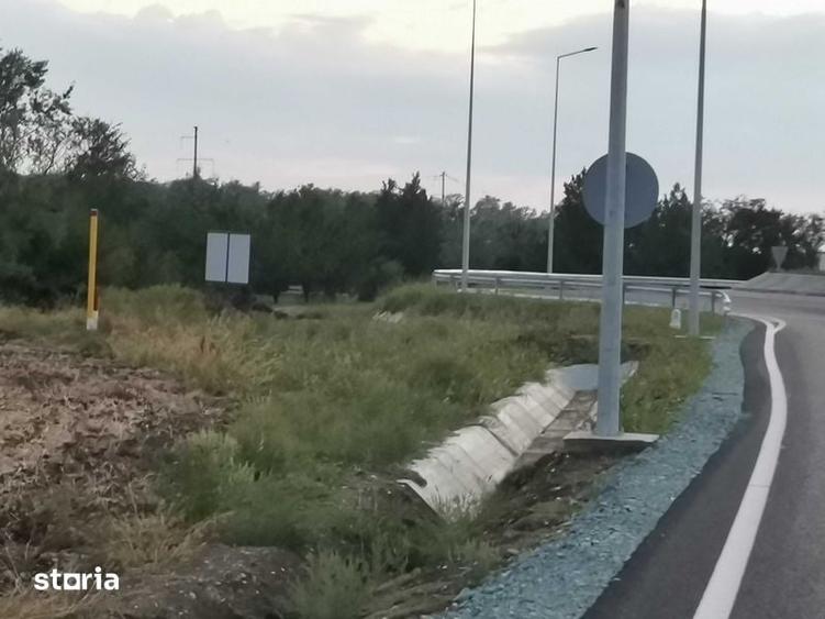Teren de 6000 mp, în Brănești