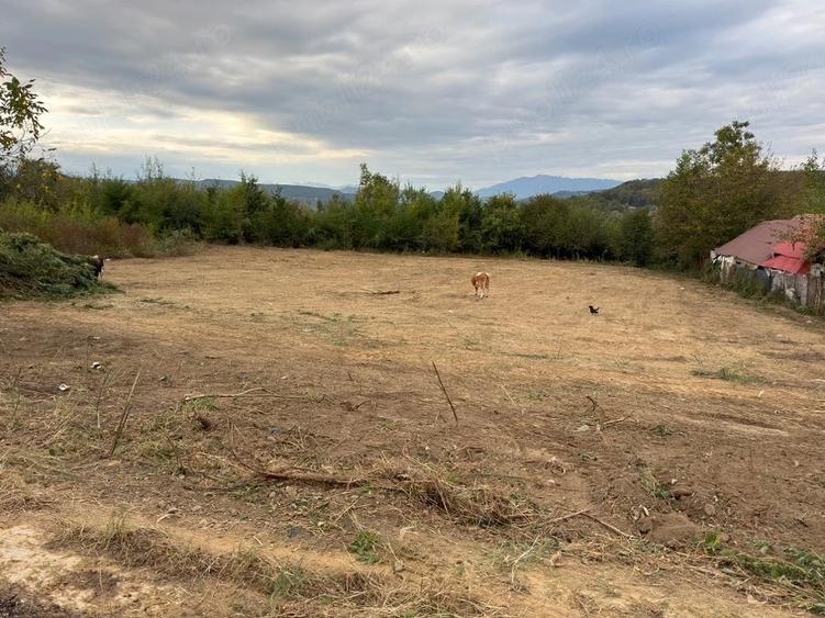 Teren de 1000 mp, în Goranu