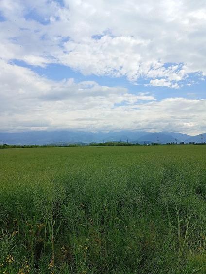 Teren de 2900 mp, în Central