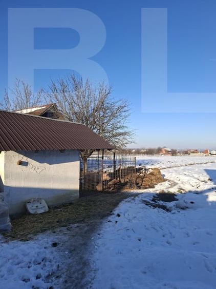 Casă individuală cu 4 camere cu Canalizare în Lugoj