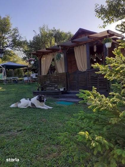 Teren de 1069 mp, în Ibănești