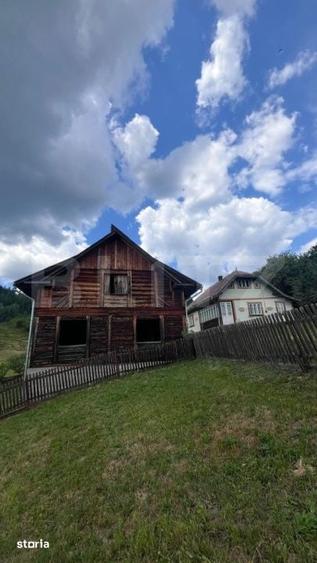 Teren de 36000 mp, în Bosanci