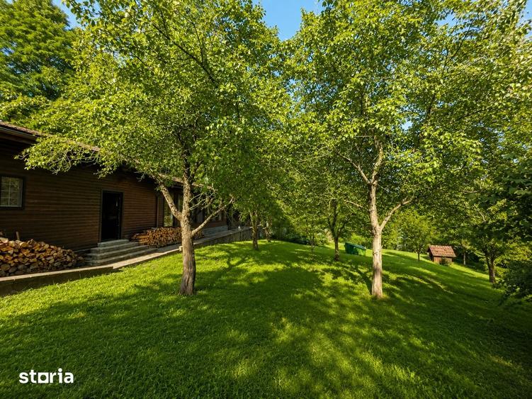 Mountain Chalet | Private Resort | Investment - Nistoresti - 1