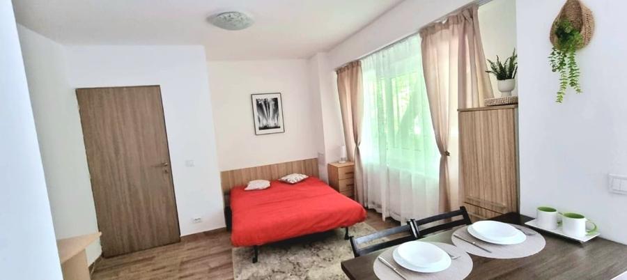 Garsoniera boiler 5 min M Timpuri noi - Tineretului DB2269 - 3