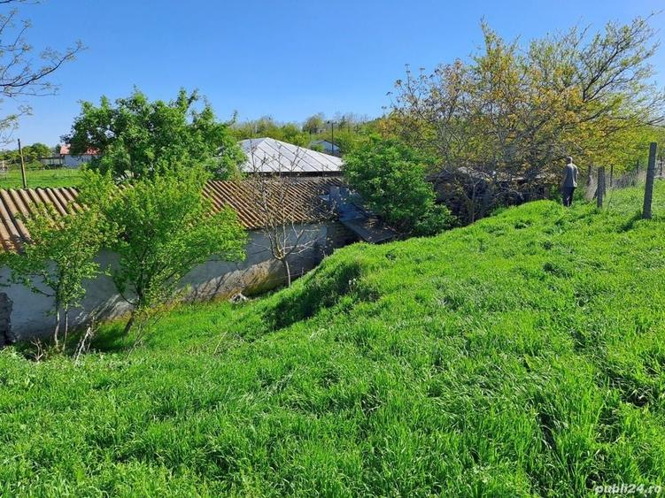 Teren de 1000 mp, în Sultana