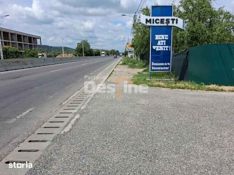 Teren Extravilan de Vanzare Maracineni, Sat Argeselu - 4