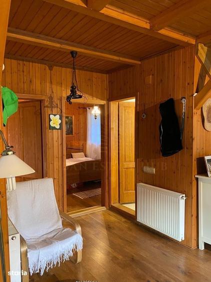 Vanzare teren 3000 mp, cabana, zona D D Rosca, Faget - 10
