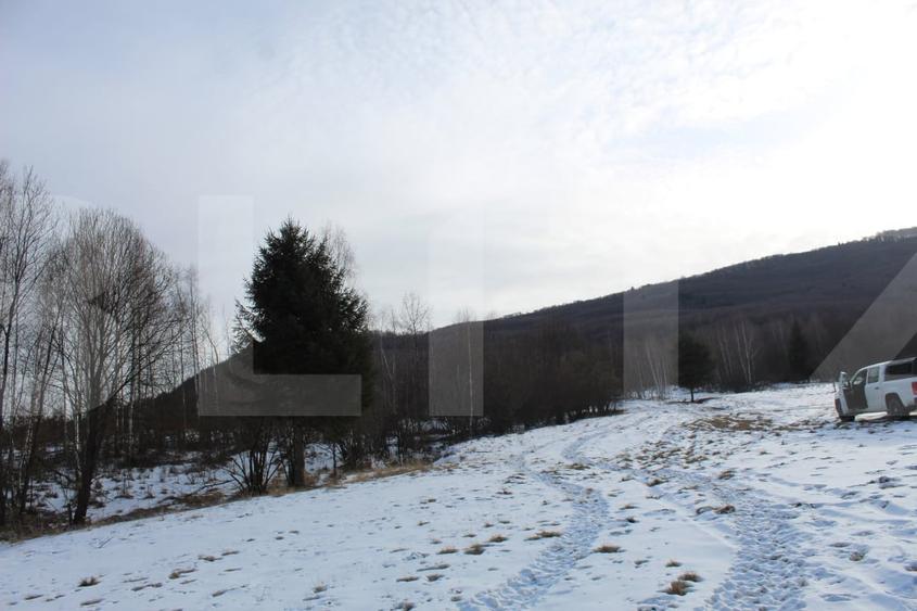 Teren extravilan de 11600 mp, în Turia