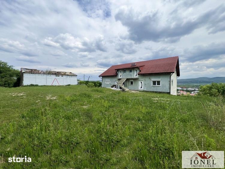 Casă cu Teren 6000 Mp în Teiu